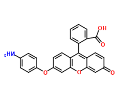 Aminophenyl Fluorescein 