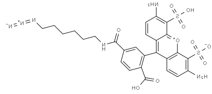 6-AF488 C6 N3 