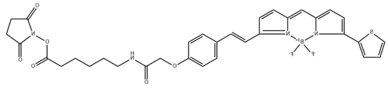 BDP 630/650 X NHS ester 