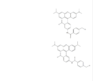 活细胞示踪探针(橙色)