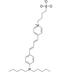 107610-19-5