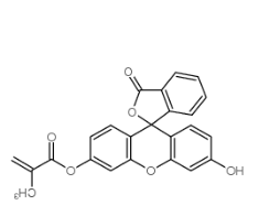 Fitc-methacrylate