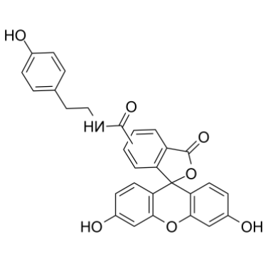 Fluorescein Tyramide