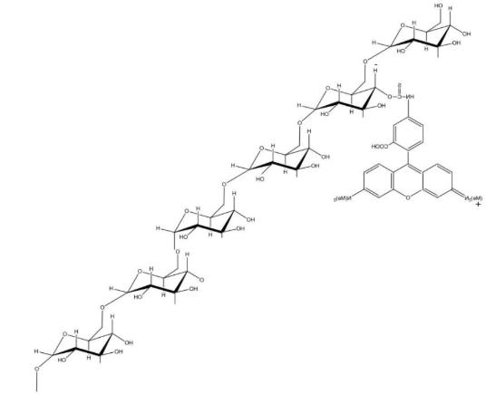TRITC-Dextran