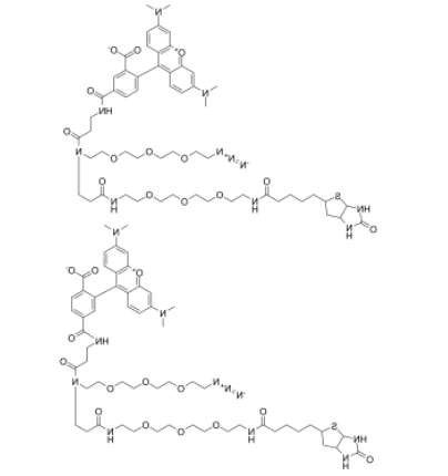 TAMRA-Biotin-N3  