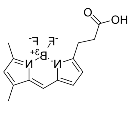 3-Bodipy-propanoic Acid 