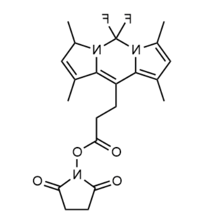 BODIPY 493/503 NHS 