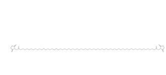 Bis-PEG21-NHS ester（CAS号：2221948-98-5）