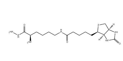 Dextran Gel（葡聚糖凝胶）
