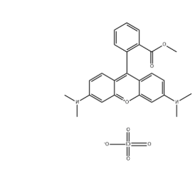 TMRM Perchlorate TMRM Perchlorate