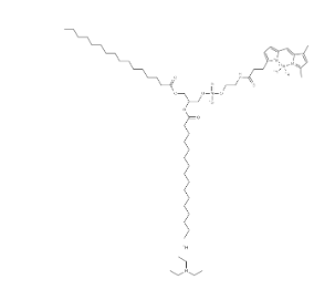 BDP FL-DHPE