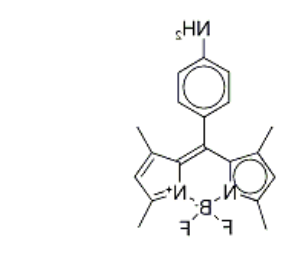 8-(4-Anilino) BODIPY
