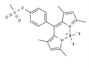 BODIPY-TS，硼二吡咯-TS