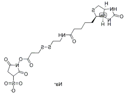 Biotin-SS-NHS ester	 