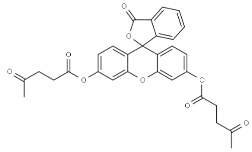 二氧化硫(SO2)荧光探针 