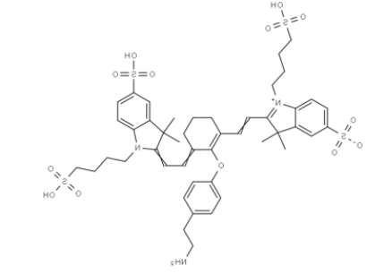 Sulfo-Cy7 Tyramide 