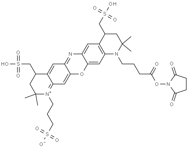 MB 660R NHS Ester