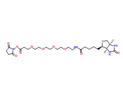 Biotin-PEG4-NHS ester 