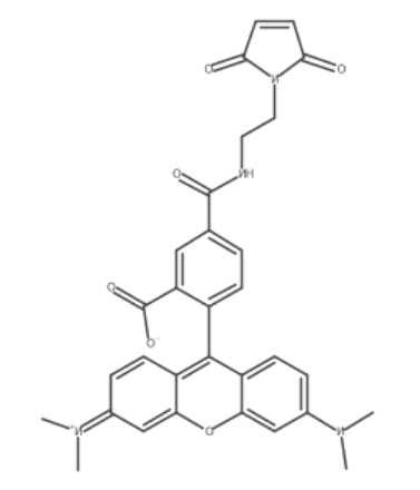 Tetramethylrhodamine-5 C2 maleimide 