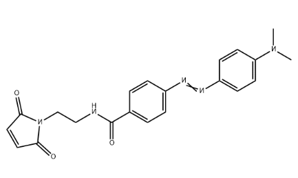 DABCYLC2马来酰亚胺 DABCYLC2马来酰亚胺