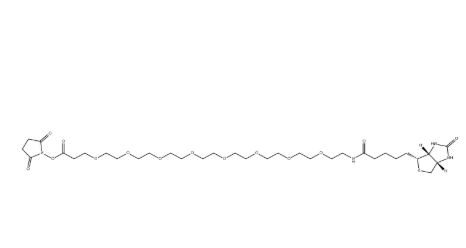 Biotin-PEG8-NHS ester