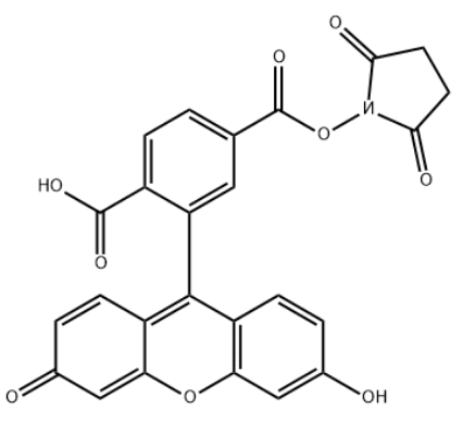 FAM NHS ester, 6-isomer 