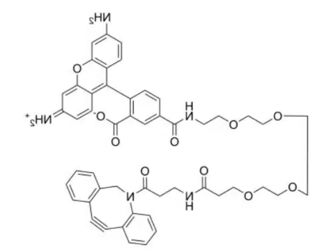 Carboxyrhodamine 110 PEG4 COOH 