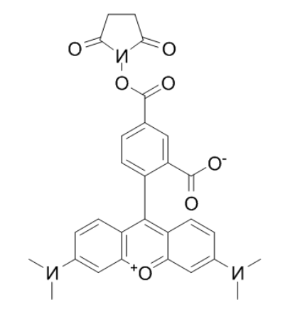 TAMRA Succinimidyl Ester TAMRA Succinimidyl Ester