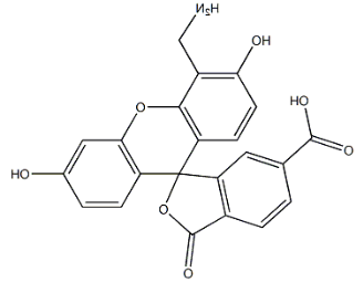 4'-AMinoMethyl-5-FAM