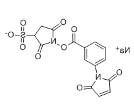 Sulfo-MBS Crosslinker