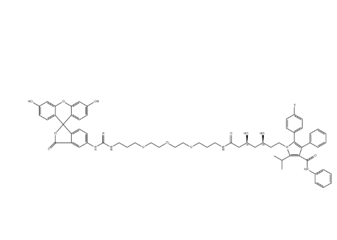 Atrovastatin-PEG3-FITC
