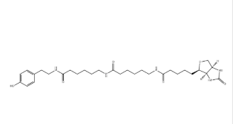 Biotin-XX Tyramide