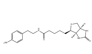 Biotin-aniline Biotin-aniline