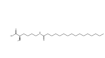 N6-(1-oxohexadecyl)-L-lysine N6-(1-oxohexadecyl)-L-lysine