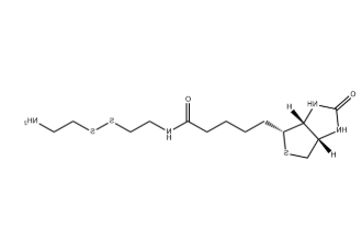 Biotinyl Cystamine