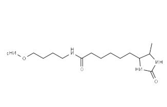 Desthiobiotin-C4-oxyamine