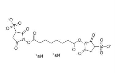 BS3 Cross linker(diso dium)