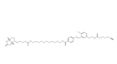 Diazo Biotin-PEG3-alkyne