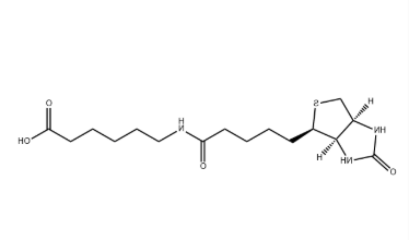 Biotin-LC