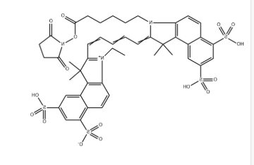 Sulfo Cyanine5.5 E SE