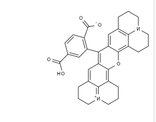 6-Rhodamine X acid