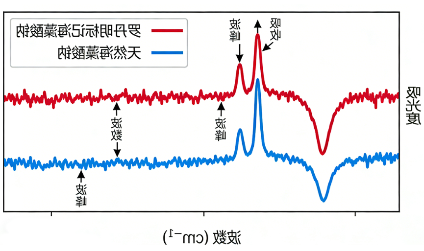 罗丹明-海藻酸钠 罗丹明-海藻酸钠