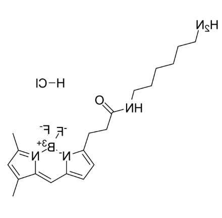 BODIPY FL amine BODIPY FL amine
