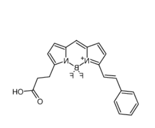 BODIPY 564/570 COOH