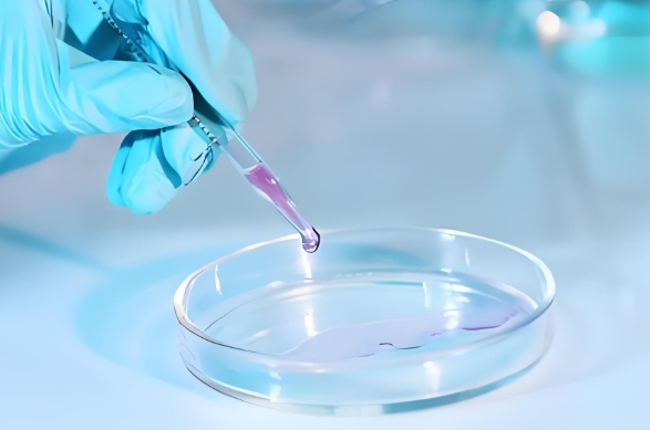 红细胞膜（RBCm）包裹聚合诱导发光物P2-PPH3和免疫佐剂聚肌胞酸Poly(I:C)组成的自主装聚合物纳米颗粒