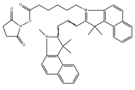 Cyanine3.5-E NHS
