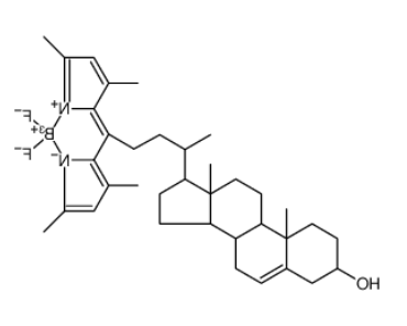 BODIPY cholesterol