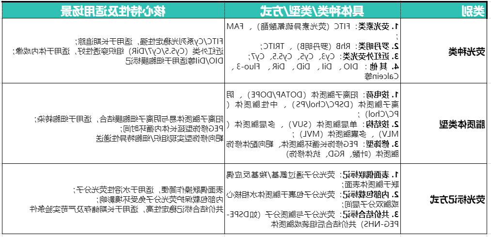 荧光标记脂质体