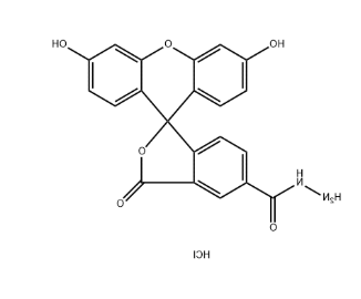 FAM hydrazide,5-isomer