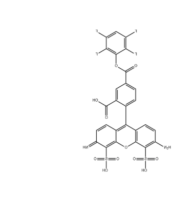 AF488 TFP ester